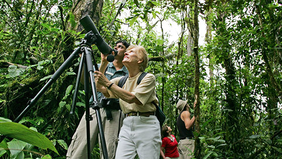 Tropical rainforest and Bird watching nature paradise